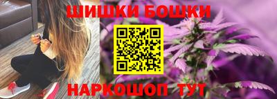 крисы Ставрополь