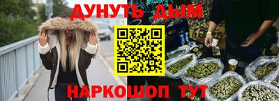 крисы Ставрополь