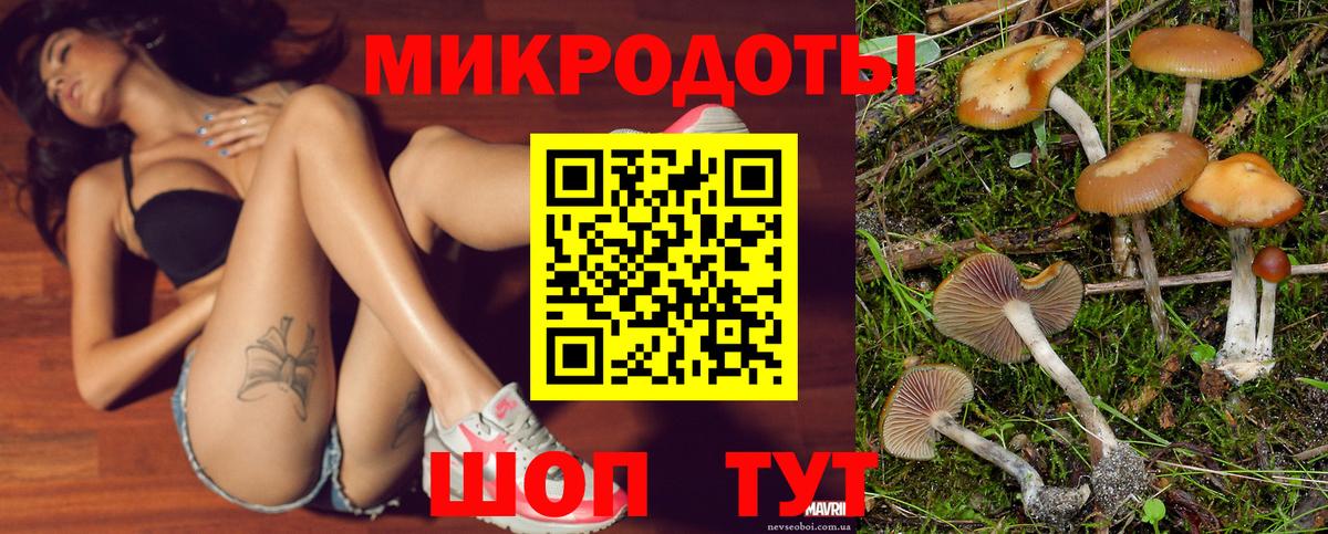 Псилоцибиновые грибы GOLDEN TEACHER  Вход с VPN  дарнет шоп  Магнитогорск 